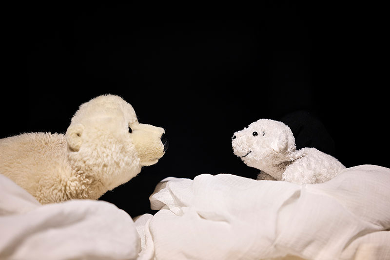 Kleiner Eisbär wohin fährst du - im Kinder-und Jugendtheater Frankfurt